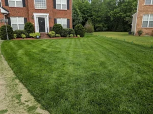 Fall Cleanup in Richmond, VA