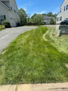 Lawn Care and Landscaping Services In Short Pump, VA