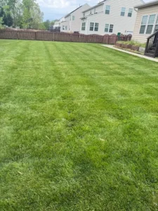 Lawn Care and Landscaping Services In Short Pump, VA