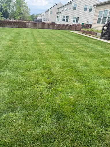 Lawn Care and Landscaping Services In Short Pump, VA