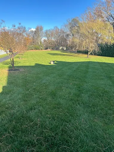 Rooted in Passion, Growing with Purpose2