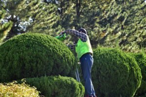 Best Shrub Trimming Services in Richmond, VA Best Landscaping Company In Richmond, VA | Lawn Poppers LLC