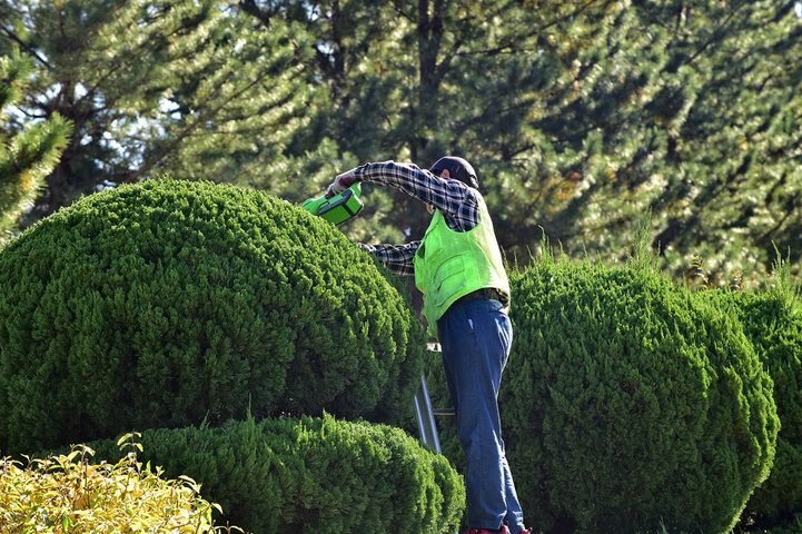 Best Shrub Trimming Services in Richmond, VA Best Landscaping Company In Richmond, VA | Lawn Poppers LLC