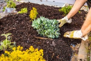 How Mulch Installation Improves Richmond, VA Landscapes Best Landscaping Company In Richmond, VA | Lawn Poppers LLC
