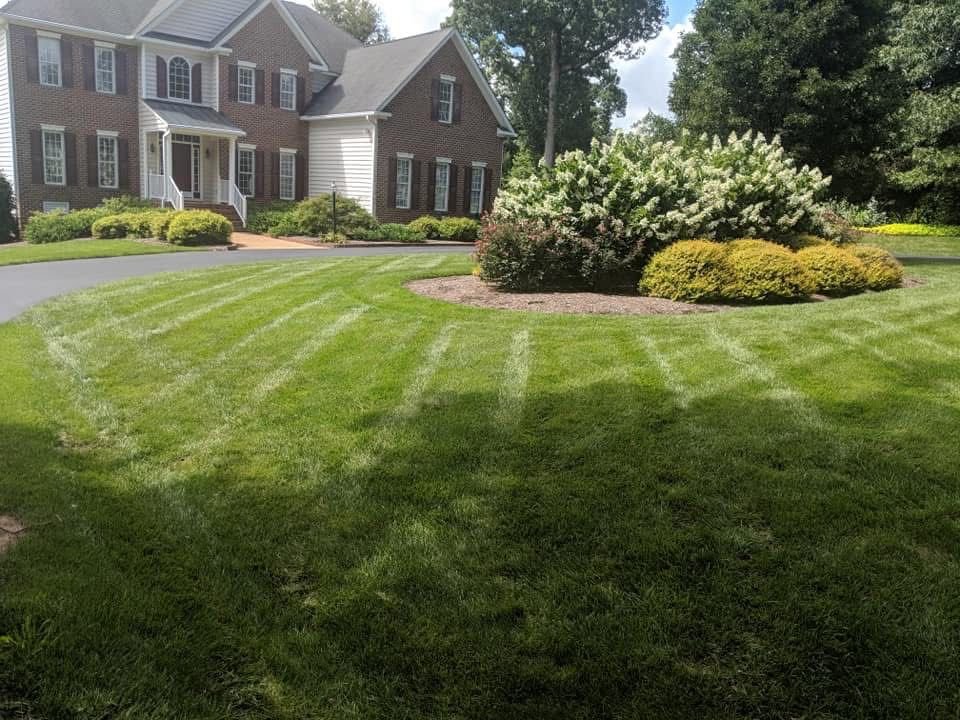 WhatsApp Image 2026 03 09 at 8.24.54 PM | Lawn Poppers LLC