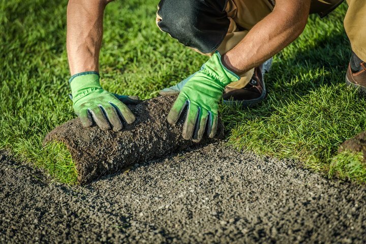 Why Seasonal Lawn Care Is Important for Healthy Grass Best Landscaping Company In Richmond, VA | Lawn Poppers LLC