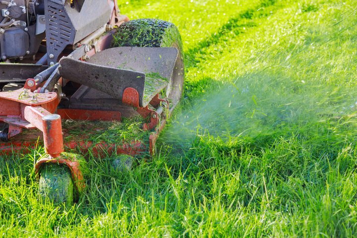 How Regular Lawn Care Prevents Patchy Grass Problems Best Landscaping Company In Richmond, VA | Lawn Poppers LLC