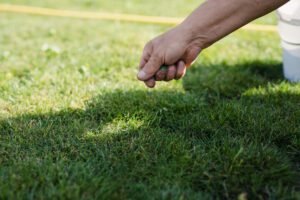 When to Schedule Overseeding Services in Richmond, VA Best Landscaping Company In Richmond, VA | Lawn Poppers LLC