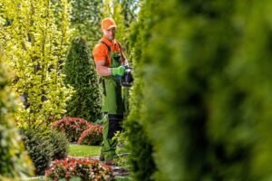 Blog | Lawn Poppers LLC Benefits of Regular Shrub Trimming for Healthy Plants Best Landscaping Company In Richmond, VA | Lawn Poppers LLC