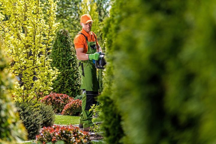 Benefits of Regular Shrub Trimming for Healthy Plants Best Landscaping Company In Richmond, VA | Lawn Poppers LLC