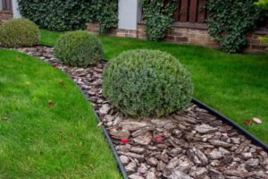 Blog | Lawn Poppers LLC Why Mulch Installation Protects Your Landscape Beds Best Landscaping Company In Richmond, VA | Lawn Poppers LLC