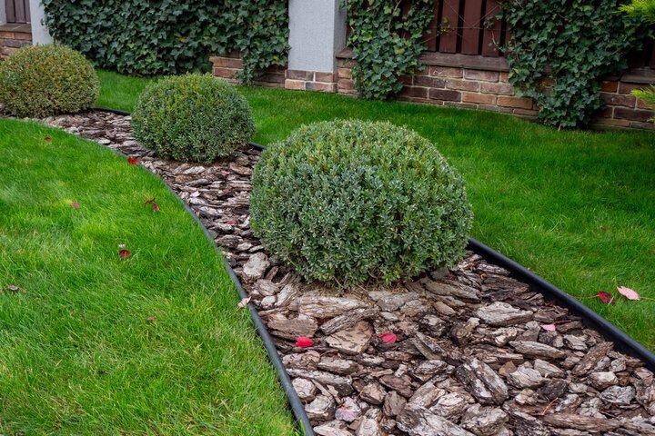 Why Mulch Installation Protects Your Landscape Beds Best Landscaping Company In Richmond, VA | Lawn Poppers LLC