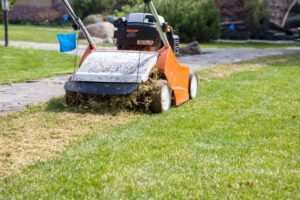 Blog | Lawn Poppers LLC How Lawn Aeration Helps Improve Soil and Root Growth Best Landscaping Company In Richmond, VA | Lawn Poppers LLC