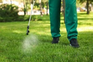 Blog | Lawn Poppers LLC Best Lawn Care Tips for Homeowners in Richmond, VA Best Landscaping Company In Richmond, VA | Lawn Poppers LLC